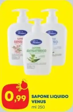 Panorama Sapone liquido Venus offerta