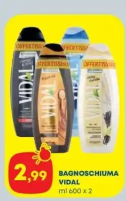 Panorama Bagnoschiuma Vidal offerta