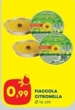 Panorama Fiaccola citronella offerta