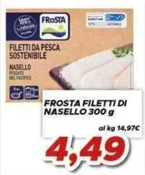 MA Supermercati Frosta filetti di nasello offerta
