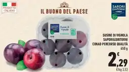 Conad City Susine di Vignola offerta