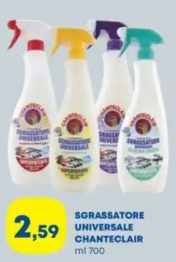 Panorama Sgrassatore universale Chanteclair offerta