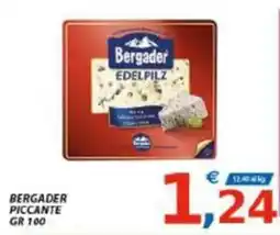 Vivo Supermercati Bergader Piccante offerta
