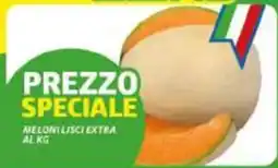 Vivo Supermercati Meloni lisci extra offerta