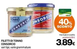 Superconti Filetti di tonno consorcio offerta
