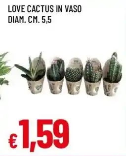 Galassia superstore Love cactus in vaso offerta