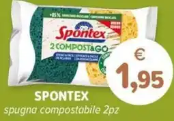 Il Tulipano Spontex spugna compostabile offerta