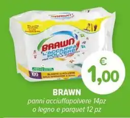 Il Tulipano Brawn panni acciuffapolvere offerta