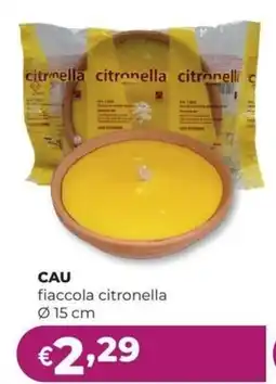 La Saponeria Fiaccola citronella offerta