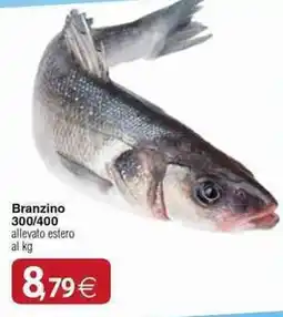 Docks Cash&Carry Branzino offerta