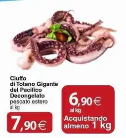 Docks Cash&Carry Ciuffo di Totano Gigante del Pacifico offerta