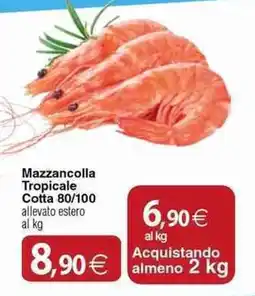 Docks Cash&Carry Mazzancolla Tropicale Cotta 80/100 offerta