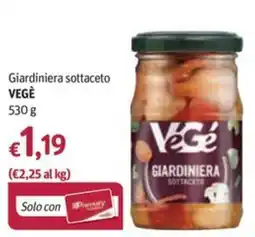 Futura Supermercati VeGe giardiniera sottaceto offerta