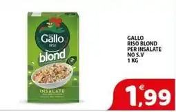 Il Centro Superstore Gallo riso blond per insalate offerta