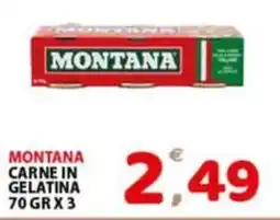 Premium Supermercati Montana carne in gelatina offerta