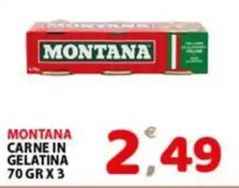 Premium Supermercati Montana carne in gelatina offerta