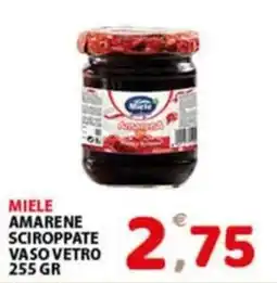 Premium Supermercati Miele amarene sciroppate offerta