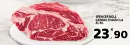 Il Centro Superstore Spencer Roll Carima Spagnola offerta