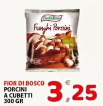 Fior di Bosco Funghi Porcini