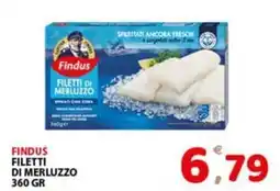 Premium Supermercati Findus filetti di merluzzo offerta