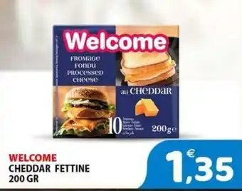 Il Centro Superstore Welcome Cheddar Fettine offerta