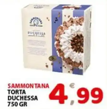 Premium Supermercati Sammontana torta duchessa offerta
