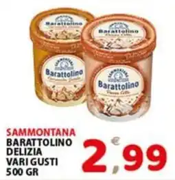 Premium Supermercati Sammontana Barattolino Delizia offerta