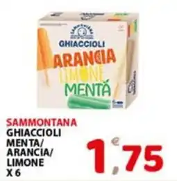 Premium Supermercati Sammontana ghiaccioli menta/arancia/limone offerta