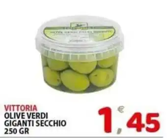 Il Centro Superstore Vittoria olive verdi giganti secchio offerta