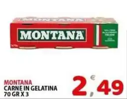 Il Centro Superstore Montana carne in gelatina offerta