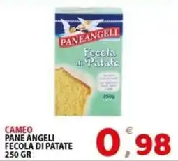 Il Centro Superstore Fecola di Patate Pane Angeli offerta