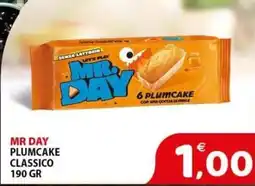 Il Centro Superstore Mr Day plumcake classico offerta