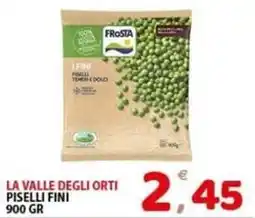 Il Centro Superstore La Valle degli Orti Piselli Fini offerta