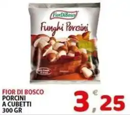 Il Centro Superstore Fior di Bosco Funghi Porcini offerta