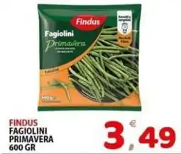 Il Centro Superstore Findus Fagiolini Primavera offerta