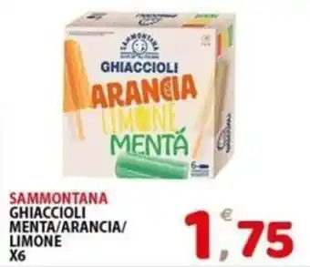 Il Centro Superstore Sammontana ghiaccioli menta/arancia/limone offerta