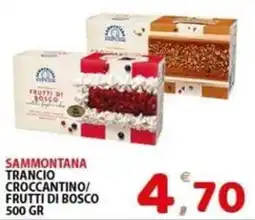 Il Centro Superstore Sammontana Trancio Croccantino/ Frutti di Bosco offerta
