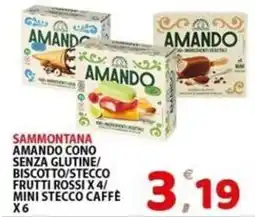 Il Centro Superstore Sammontana Amandocono senza glutine/biscotto/stecco frutti rossi offerta