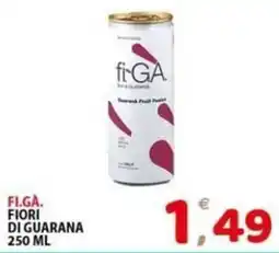 Il Centro Superstore Fi.G.A. Fiori di Guarana offerta