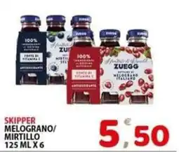 Il Centro Superstore Skipper melograno/mirtillo offerta