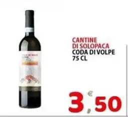 Il Centro Superstore Coda di volpe offerta