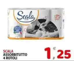 Il Centro Superstore Scala assorbitutto offerta