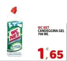 Il Centro Superstore Wc net candeggina gel offerta