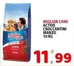 Il Centro Superstore Miglior cane Active croccantini manzo offerta