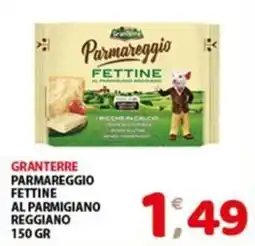Mio Market Granterre Parmareggio Fettine al Parmigiano Reggiano offerta