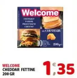 Mio Market Welcome Cheddar Fettine offerta