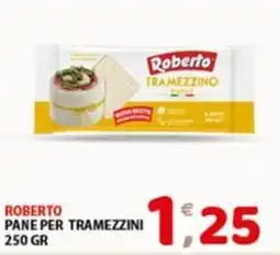 Mio Market Roberto pane per tramezzini offerta