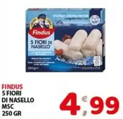 Mio Market Findus 5 Fiori di Nasello offerta