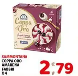 Mio Market Coppa Oro Amarena Fabbri offerta