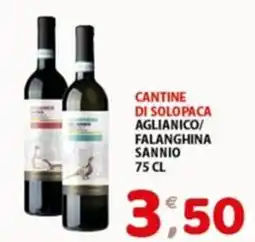 Mio Market Cantine di Solopaca Aglianico/Falanghina Sannio offerta